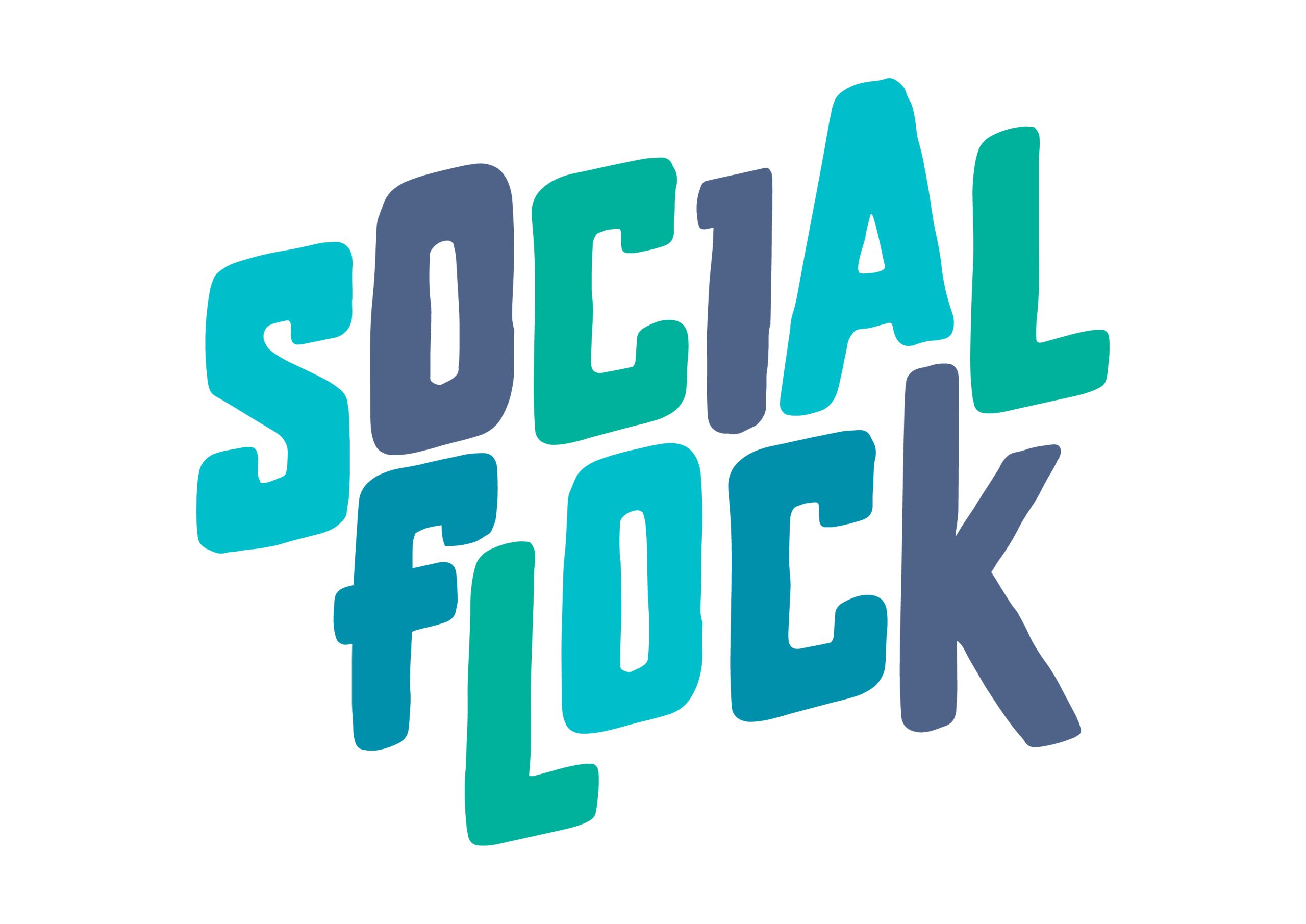 Social Flock